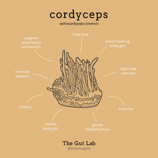 Cordyceps: il fungo dell’energia e della resistenza