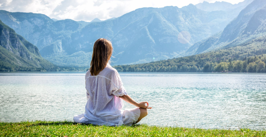Bacopa monnieri: l’equilibrio tra calma e chiarezza mentale