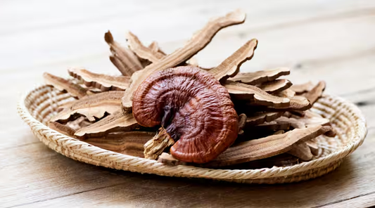 Ganoderma: il fungo della longevità che sostiene difese e vitalità
