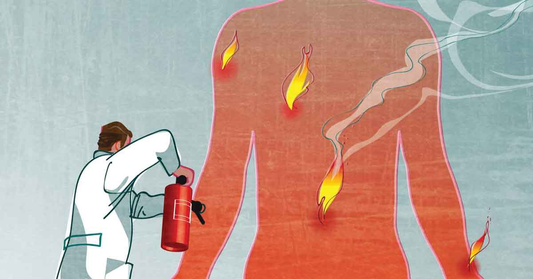 Ganoderma e Sistema Immunitario: il riequilibratore naturale che modula, protegge e calma l’infiammazione