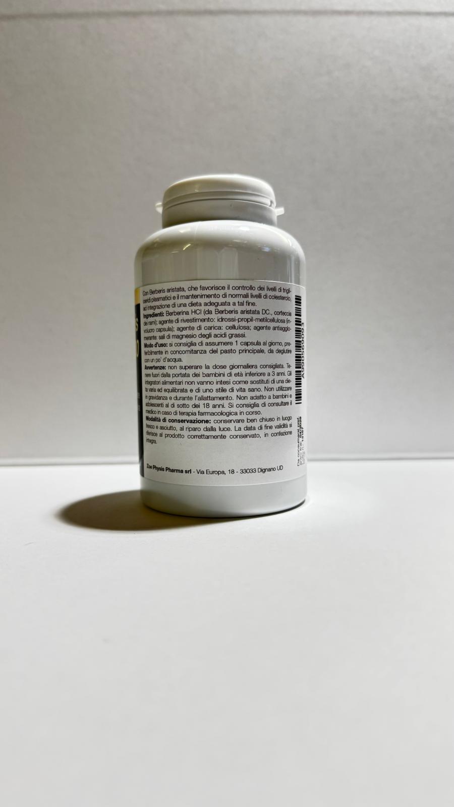 XOEBERBERIS 500